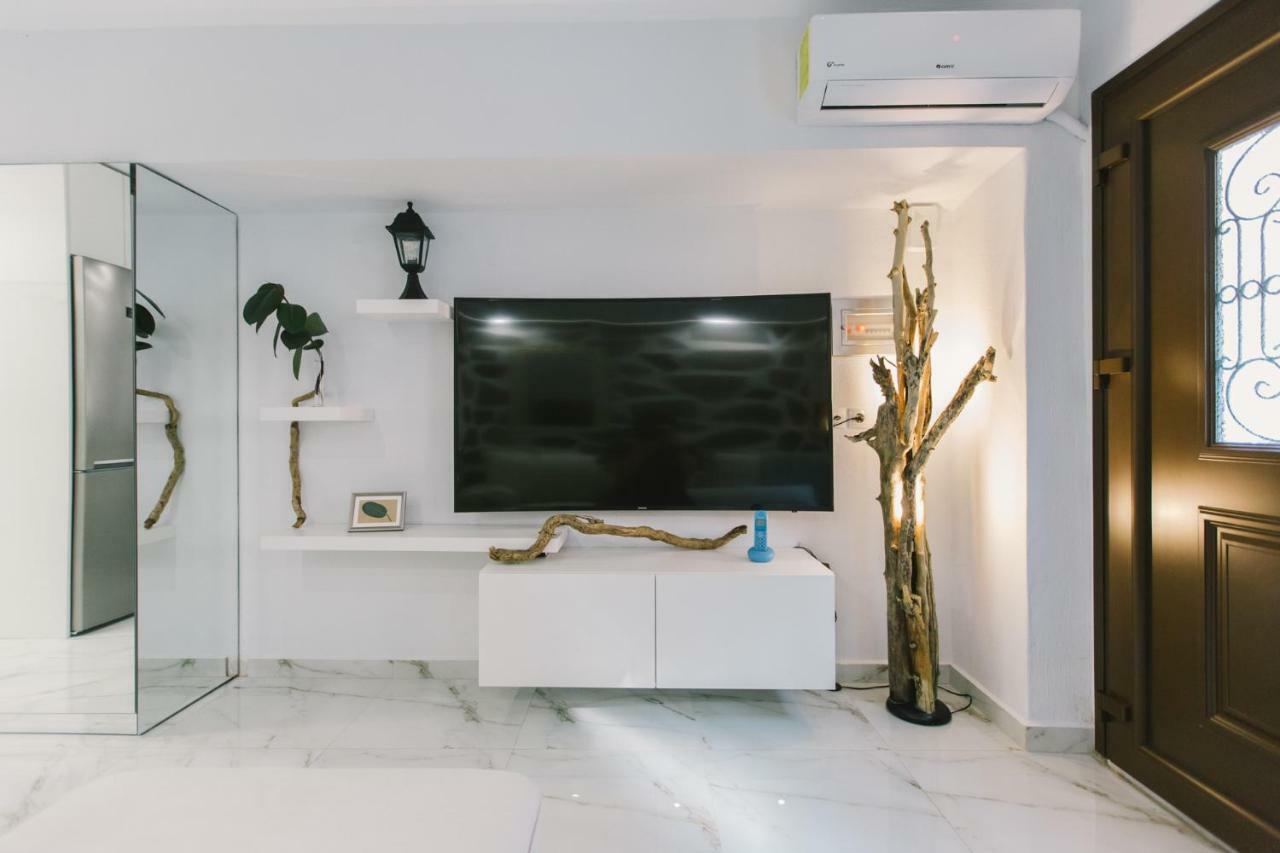 Modern Salon Apartment